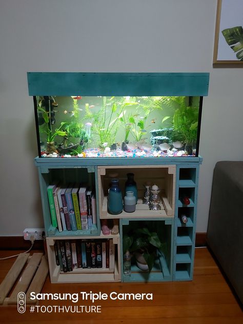 This is my community tank with bookshelf and wine rack. Bookshelf Aquarium, Community Tanks, Aquarium Ideas, My Community, Pet Stuff, Aquariums, Wine Rack, Bookshelves, Sweet Home