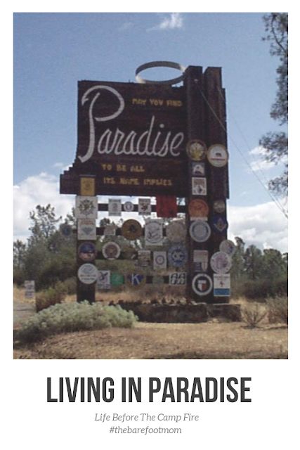 Living In Paradise: Life Before The Camp Fire Fire Landscape, Paradise California, Life In Paradise, Wild Fire, Camp Fire, Wellness Journey, California Dreamin', Campfire, Small Towns