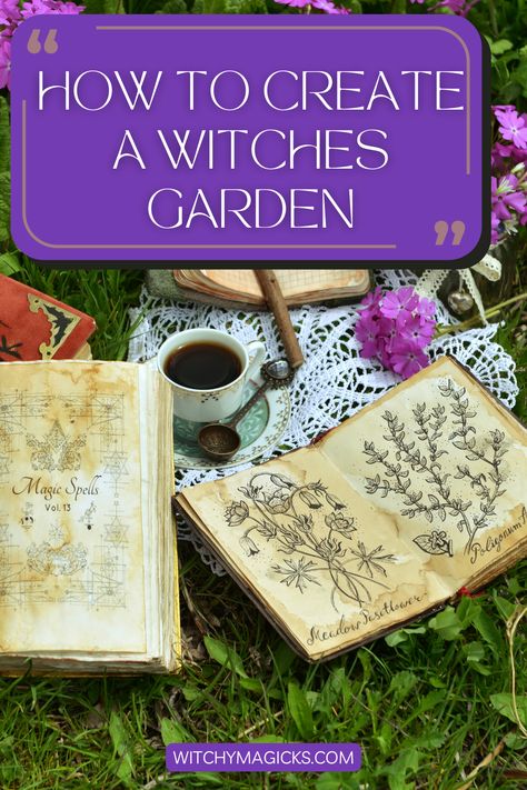 Transform your space into an enchanted sanctuary with a witch's garden! Discover the art of selecting the perfect location, considering sunlight, soil quality, and the natural energies of the space. #WitchesGarden #EnchantedSanctuary #WitchyWisdom A Witches Garden, Witches Garden Plants, Witches Garden Ideas, Witchy Garden Decor, Witch’s Garden, Witch Garden Ideas, Witch Garden Aesthetic, Witch Garden Design, Diy Grimoire