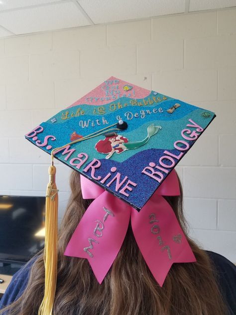 Jaws Graduation Cap, Biology Graduation Cap Ideas, Marine Biology Graduation Cap, Little Mermaid Graduation Cap, Mermaid Graduation Cap, Graduation Cap Pink, Biology Graduation Cap, Marine Biology Jobs, Disney Grad Caps