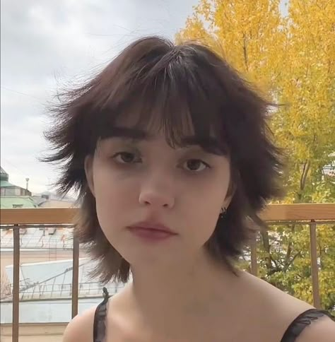 Haircut Color Ideas, Wolf Cut Short, Short Hair Inspo, Short Hair Images, Shaggy Short Hair, Hair References, Hair Inspiration Short, Haircut Inspo, Hair Cut Ideas