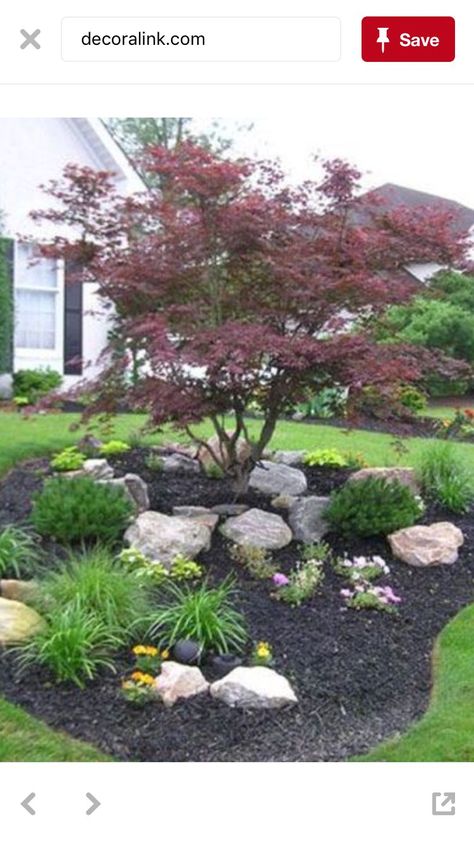 Tree On Slope Landscaping Ideas, Landscape Around Small Tree, Tree With Plants Around It, Landscaping Split Level Front Yard, Front Yard Big Tree Landscaping Ideas, Front Yard Landscaping With Tree In Middle, Mound Planting Garden Ideas, Corner Tree Landscaping, Front Yard Bench Landscaping