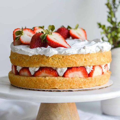 Vegan Strawberry Shortcake Cake Strawberry Shortcake Birthday Cake, Strawberry Layer Cake, Vegan Strawberry Shortcake, Strawberry Layer Cakes, Shortcake Cake, Napkin Folds, Strawberry Shortcake Cake, Shortcake Recipe, Strawberry Cakes