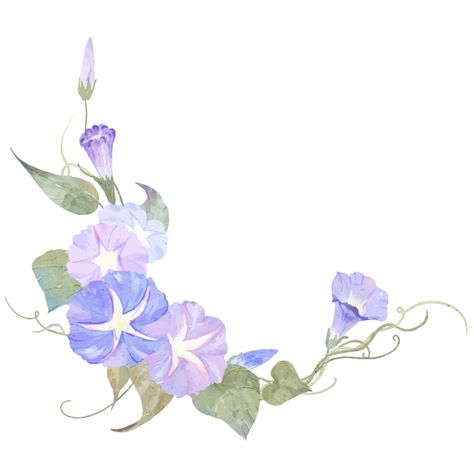 Watercolor violet morning glory flowers ... | Premium Vector #Freepik #vector #flower-green #watercolor-wreath #flowers-watercolor #floral-watercolor Morning Glory Watercolor Tutorial, Watercolor Morning Glory, Morning Glory Flowers Aesthetic, Morning Glory Watercolor, Watercolor Violet, Flowers Morning, Morning Glory Flowers, Watercolor Wreath, Flowers Illustration