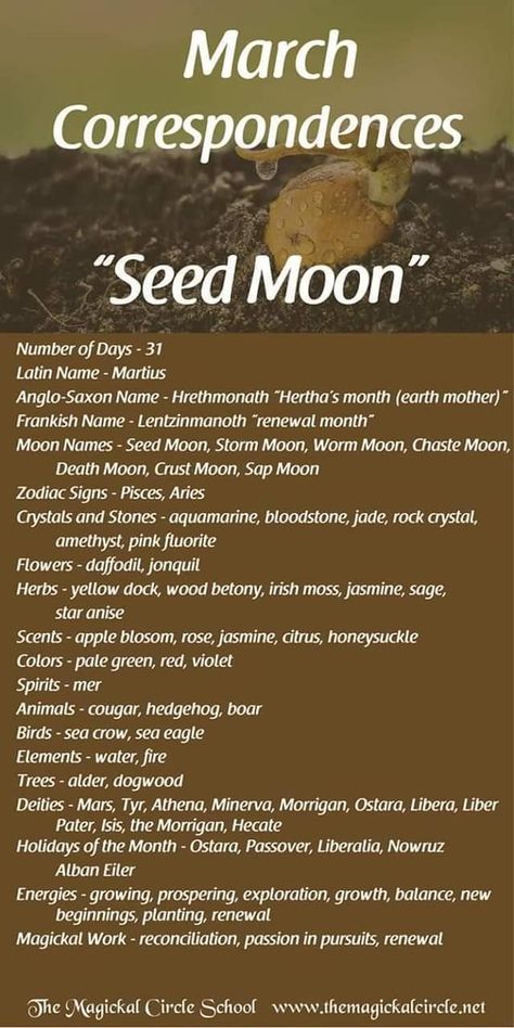 March Correspondences, Month Correspondence, Monthly Correspondences, Moon Types, Lunar Witch, Moon Zodiac, Moon Meaning, Moon Names, Lunar Magic