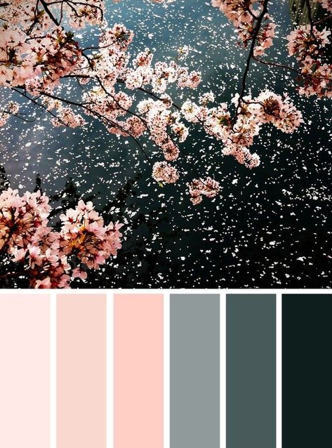 This Gorgeous photo makes me want to stand below that cherry tree, get showered by blossoms and twirl around like I'm in the Sound of Music LOL. Fun aside, what do you think of today's Color Inspiration? Blush Pink, Gray and Black. So elegant. Feminine, but not girly. Love it 😍 Pink Color Combination, Blush And Grey, Grey Color Palette, Color Palette Pink, Ideas Photography, Bath Room, Bedroom Green, Colour Board, Bathroom Colors