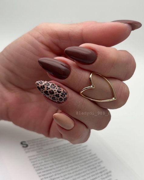 31 Ideas for Fall Leopard Nails 2024 - Fall Update 2024 Leopard Print Nails Almond, Fall Leopard Nails, Gold Leopard Nails, Nails October, Leopard Nail Designs, Leopard Nail Art, Brown Nails Design, Elegant Nail Designs, Fall Nail Trends