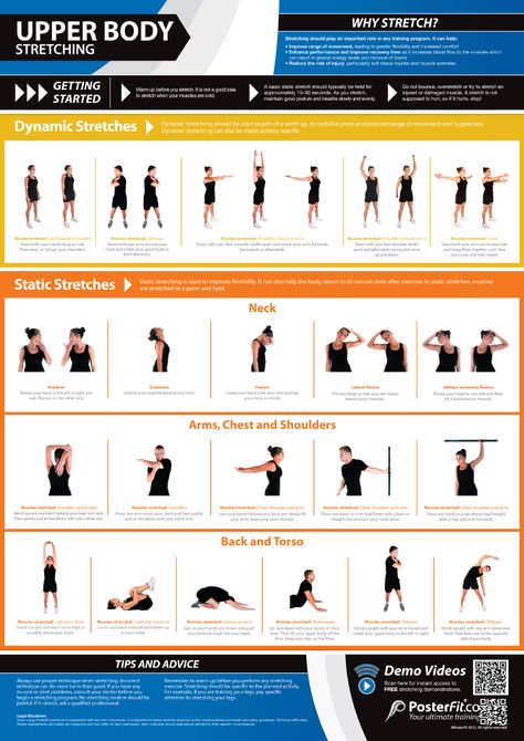 Upper Body Stretching, Body Weight Strength Training, Static Stretches, Gym Posters, Upper Body Stretches, Body Conditioning, Body Stretching, Trx Workouts, Physical Training