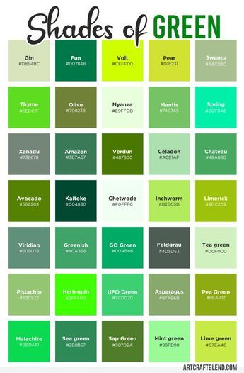 Discover 160 shades of green with color names, hex codes, RGB, and CMYK values. Find the perfect green for your designs with this comprehensive guide. Green Color Names, Paris Green, Dark Sea Green, Opposite Colors, Nail Colours, Hex Codes, Green Lawn, Green Tones, Green Grass