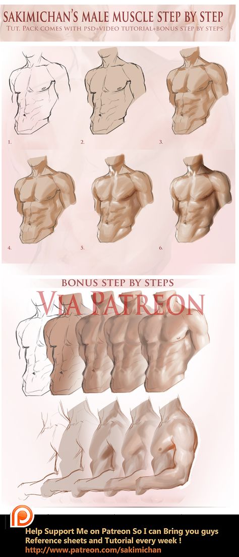 Male Muscle, Anatomy Tutorial, Human Anatomy Drawing, Anatomy Sketches, Body Reference Drawing, Tattoo Girls, 인물 드로잉, Gambar Figur, Body Anatomy