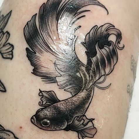 Betta Fish Tattoo, Betta fish tattoo design, women's Betta fish tattoo, Betta fish tattoo designs, simple Betta fish tattoo, watercolor betta fish tattoo, Betta fish tattoo small, black Betta fish tattoo, small Betta fish tattoo, realistic betta fish tattoo, betta fish tattoo simple, betta fish tattoo drawing, betta fish tattoo ideas, red betta fish tattoo, geometric betta fish tattoo, Betta fish tattoo traditional,Female betta fish Tattoo,Betta fish tattoo outline,Siamese fighting fish Tattoo Black Betta Fish, Betta Tattoo, Betta Fish Tattoo, Koi Dragon Tattoo, Fish Tattoo Design, Fish Outline, Tattoo Shirts, Fish Tattoo, Arm Band Tattoo