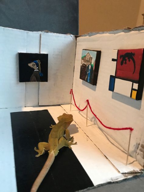 From Shoebox to White Cube: A Roundup of Homemade Pet Museums Diorama Museum, Shoe Box Art, Tiny Lizard, Kids Summer Projects, Presentation Ideas For School, Gallery Opening, Reptile Room, Modern Crafts, Art Magazine