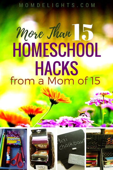 Planning School, Homeschool Hacks, American States, Homeschool Education, Homeschool Inspiration, Homeschool Encouragement, Homeschool Schedule, Homeschool Learning, Homeschool Life