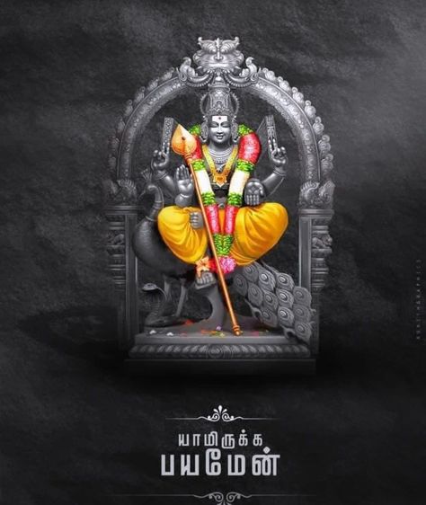 Lord Murugan Hd Wallpaper For Desktop, Devine Background, God Murugan Images Hd, Lord Murugan Wallpapers Hd, Thiruchendur Murugan Hd Wallpaper, Lord Murugan Wallpapers 1080p, Lord Palani Murugan Hd Wallpaper, Murugan Hd Wallpaper, Lord Murugan Hd Wallpaper 4k