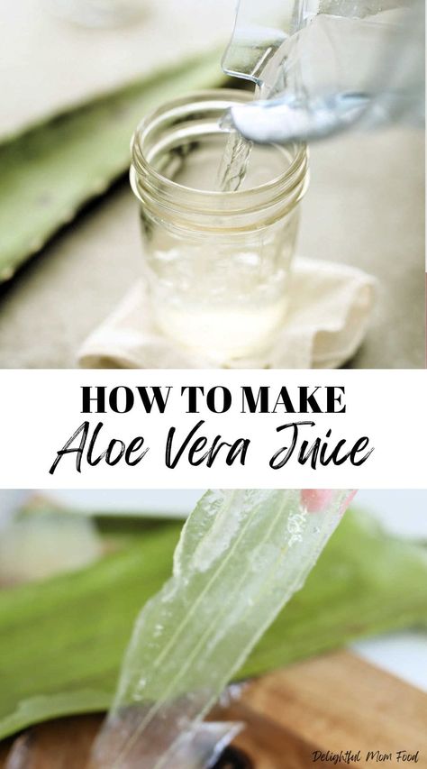 Learn how to make aloe vera juice at home with 2 ingredients. With just a few easy steps, you can enjoy a homemade elixir that captures the essence of aloe vera's nourishing properties. I share how to cut an aloe leaf plant to get the gel and how to use it to create an aloe vera drink that suits your taste and diet. Homemade Elixir, Aloe Vera Juice Recipes, Diy Aloe Vera Gel, Aloe Vera Diy, Aloe Vera Juice Benefits, Oatmeal Ideas, Aloe Drink, Aloe Vera Gel Drink, Blueberry Banana Smoothie