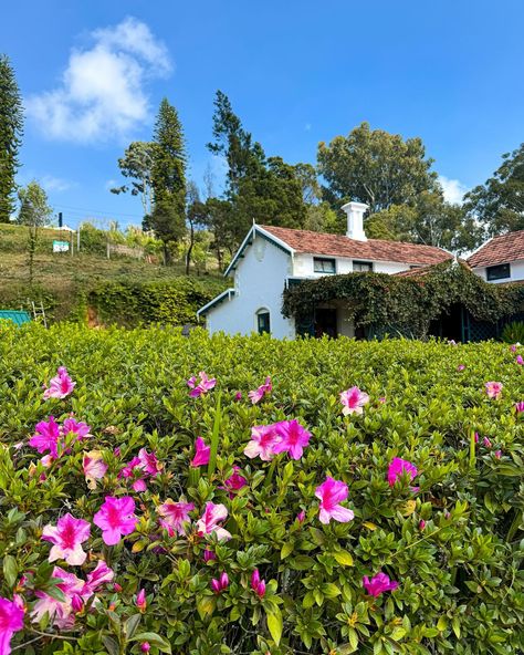 Postcards from Ooty & Coonoor 🌿🌻❤️ Let me know which one’s your favourite 😍✨ . . . #postcardplaces #hillstationsofindia #ooty #ootydiaries #ootytrip #ooty❤ #ootydays #coonoor #coonoordiaries #natgeoyourshot #natgeotravel #travelrealindia #travelphotography #travelawesome #hillstationofindia #indiapictures #indiatravelgram #shotoniphone #shotoniphone15pro Ooty Nature Images, Ooty India Photography, Ooty Hill Station, Ooty Trip, Ooty, Creative Instagram Photo Ideas, Hill Station, Nature Images, India Travel