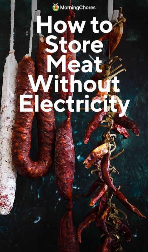 How To Store Meat Without Refrigeration, How To Preserve Meat Without Electricity, Meat Preservation, Preserve Meat, Preserving Meat, Storing Food Long Term, Curing Meat, Cured Meat Recipes, Survival Food Storage