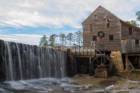 Historic Yates Mill County Park Nature Food, Cary Nc, Raleigh North Carolina, American Airlines, Raleigh Nc, Science And Nature, Travel Usa, Cool Places To Visit, Trip Advisor