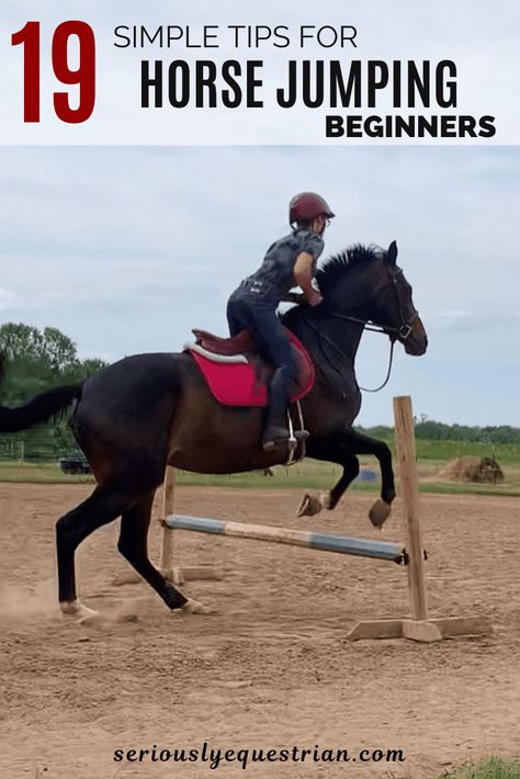 19 simple tips for horse jumping beginners - Seriously Equestrian Equine Exercises, Jumping Courses, Equestrian Tips, Horse Jumping Exercises, Horse Hacks, Jumping Exercises, Horse Bedroom, Equestrian Jumping, Horseback Riding Tips