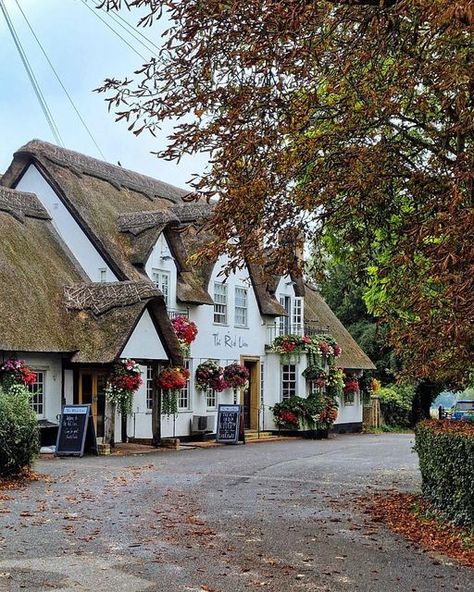 We LOVE England🇬🇧🏴󠁧󠁢󠁥󠁮󠁧󠁿 on Instagram: "The Red Lion in the historic village of Grantchester in Cambridgeshire🍁 The famous TV show Grantchester is filmed in various picturesque locations, including in and around the village of Grantchester itself. Photo by @janet.comer" Horse Chesnut, Chesnut Tree, British Village, Fragrant Garden, Log Fires, Red Lion, Village Life, Happy Thursday, Cozy Cottage