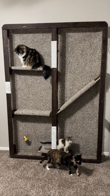 Upcycle Cat Tree, Cat Tower Plans, Cat Playroom, Furniture Reference, Cat Play Area, Catio Ideas, Feral Cat House, Cat Climbing Wall, Cat Climber