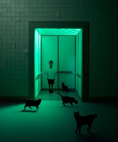 chrissie macdonald Verde Neon, Dark Green Aesthetic, Night Vale, Kunst Inspiration, Cinematic Photography, Black Cats, Green Aesthetic, Green Light, Photography Inspo