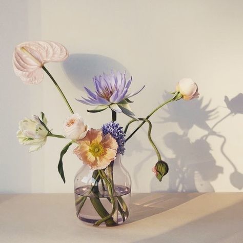 De selvplukkede blomstene gjør seg godt i Silent vase fra @muutodesign  Designet av norske @andreasengesvik  #norwaydesigns #norskdesign #sommer #muuto #andreasengesvik Decor Minimalist, Arte Floral, Beautiful Blooms, Ikebana, Plant Life, Love Flowers, My Flower, Pretty Flowers, Color Palettes