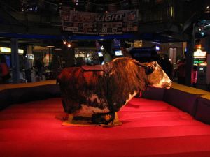 6 country bars in New York - maybe give one a try? Western Bar, Country Bar, Mechanical Bull, Bull Riders, Bull Riding, Lemonade Stand, Event Themes, Southern Style, Man Cave