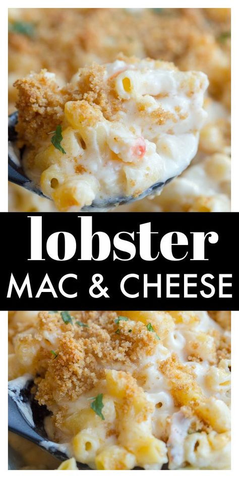 Lobster Mac N Cheese Recipe, Seafood Mac And Cheese, Lobster Mac, Lobster Mac And Cheese, Lobster Recipes, Macaroni Cheese, Seafood Dishes, Food Waste, Mac And Cheese