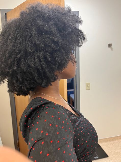 Type 4 Fro, Wash And Go Natural Hair Type 4, 4a Hair, 4b Hair, Type 4 Hair, Tight Curls, Wash And Go, Coily Hair, Natural Styles