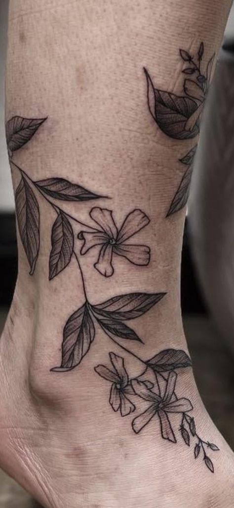 Star Jasmine Drawing, Jasmine Flowers Tattoo, Jasmine Plant Tattoo, Night Blooming Jasmine Tattoo, Star Jasmine Tattoo, Jasmine Vine Tattoo, Star Jasmine Trellis, Ginger Tattoo, Jasmine Flower Tattoo