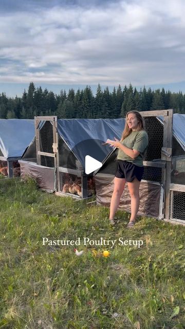 Brooke - farm mama | PASTURED POULTRY SETUP 🐓 🌾 
Year 5 of raising meat chickens is almost coming to a close. In two days we will be processing 600 birds. 

I... | Instagram Chicken Moat Around Garden, Cash Crops, Raising Meat Chickens, Pastured Poultry, Be More Active, Cash Crop, Western Rustic, Heat Lamps, Year 5