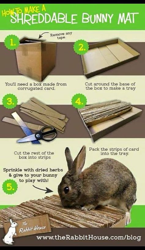 Diy Bunny Toys, Rattus Rattus, Pet Rabbit Care, Kat Diy, Rabbit Treats, Bunny Hutch, Pet Bunny Rabbits, Raising Rabbits, Indoor Rabbit