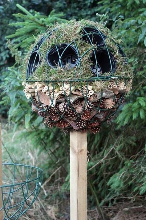 Build A Bug, Hotel Garden, Bee Hotel, Bug Hotel, Garden Activities, Insect Hotel, Sensory Garden, Garden Insects, Topiary Trees