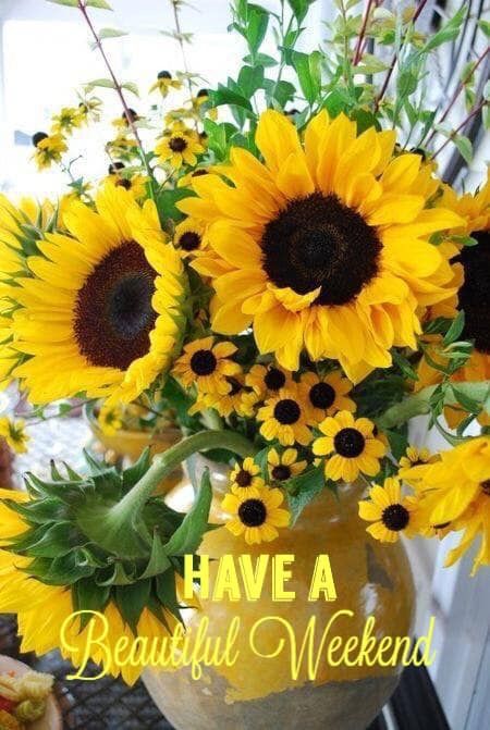 Have a beautiful weekend 🌻🌻 Van Gogh Flower Paintings, Weekend Greetings, Weekend Images, Sunflower Quotes, Good Morning Friday, Good Day Sunshine, Sunflower Pictures, Garden Vases, Helianthus Annuus