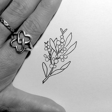 ♡ Want more cute pins? Visit @personallikes ♡ Golden Wattle Tattoo, Wattle Tattoo, Aus Tattoo, Vegan Tattoos, Rat Tattoo, Australian Tattoo, Artist Doodle, Le Tattoo, Golden Wattle