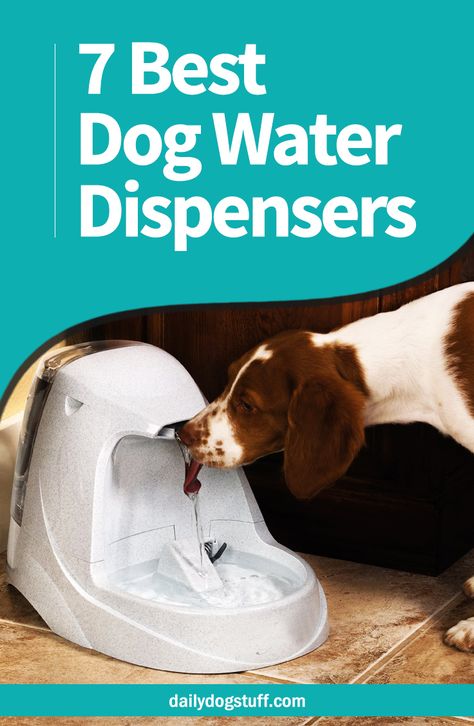 Outdoor Dog Water Station, Dog Water Station, Dog Fountain, Dog Water Fountain, Dog Water Dispenser, Dog Wellness, Dog Tricks, Water Station, Dog Grooming Tips