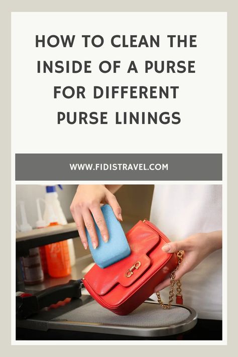 How to Clean the Inside of A Purse for Different Purse Linings How To Clean Purse Lining, Womens Packing List, Purse Cleaning, Dior Purse, Cleaning Mold, How To Clean Suede, Start Cleaning, Expensive Handbags, Brahmin Bags