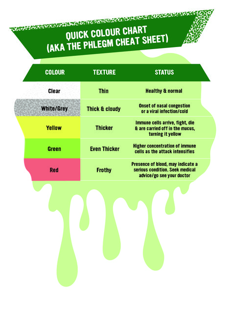 Mucus Color Chart, Mucus Color, Viral Infection, Nasal Congestion, Medical Advice, Color Chart, Medical, Texture, Health