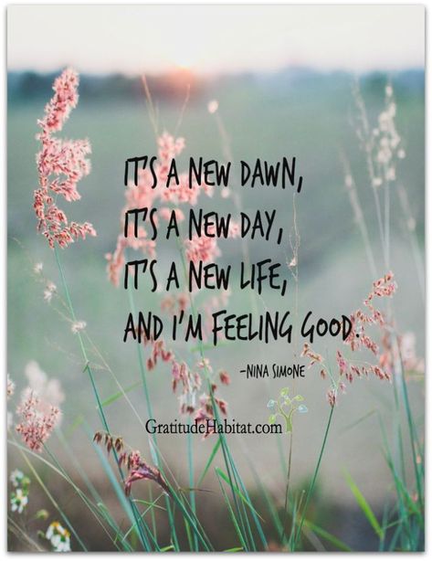 wp-1465145272043 Its A New Day, New Day Quotes, It's A New Day, Now Quotes, Happiness Is A Choice, Feel Good Quotes, Life Quotes Love, Quotes Inspirational Positive, Day Quotes