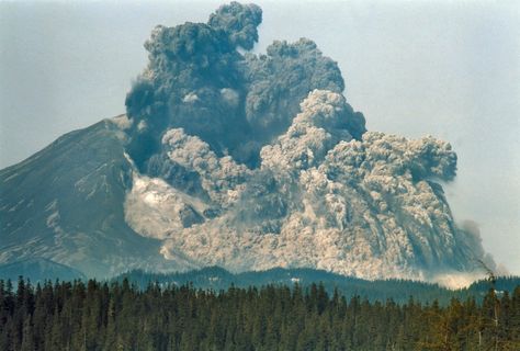 Mount St. Helens, Washington, May 18th, 1980 Mt St Helens, Mount St Helens, Saint Helens, Seaweed Brain, Trials Of Apollo, St Helens, The Heroes Of Olympus, Percy Jackson Books, Uncle Rick