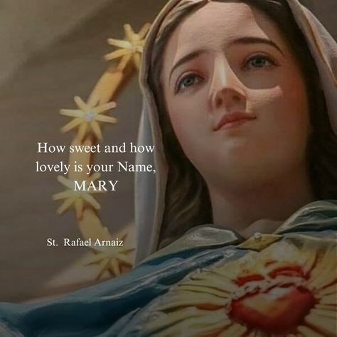 Virgin Mary Quotes, Mary's Heart, Mother Mary Quotes, Chapel Veil Catholic, Mother Mary Pictures, Bible Verses Kjv, Mama Mary, Chapel Veil, Queen Of Heaven