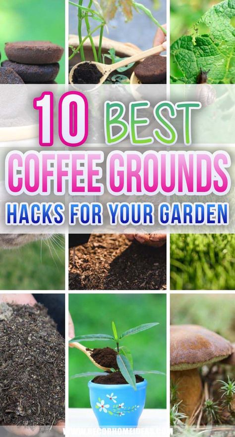 10 Best Hacks On How To Use Coffee Grounds In Your Garden | Decor Home Ideas Coffee Grounds In The Garden, Coffee Grounds As Fertilizer, Garden Landscaping Backyard, Gardening For Dummies, Plant Containers, Best Hacks, Garden Plots, Uses For Coffee Grounds, Garden Coffee