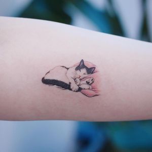 Black And White Cat Tattoo, White Cat Tattoo, Cat Tatoos, Aristocats Tattoo, Sphynx Cat Tattoo, Cat Skull Tattoo, Geometric Cat Tattoo, Cat Outline Tattoo, Watercolor Cat Tattoo