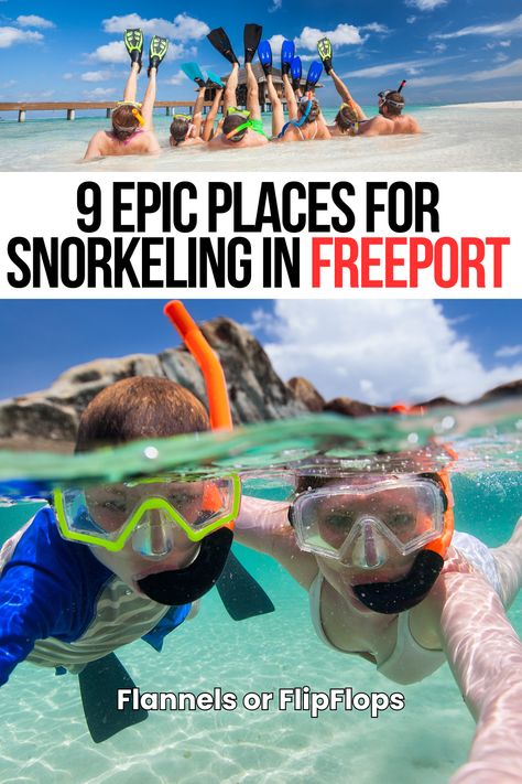 Snorkelers enjoying the best snorkeling spots you don’t want to miss in Freeport, Bahamas Freeport Bahamas, Caribbean Travel, Tropical Getaways, Cruise Port, Coral Reefs, Crystal Clear Water, Beach Lovers, Coral Reef, Dream Destinations