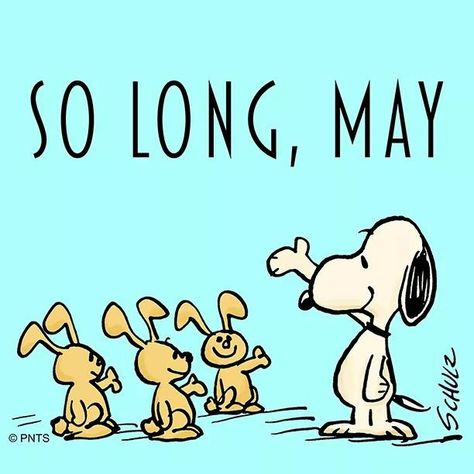 So long, goodbye May. With Snoopy & Woodstock. Goodbye May, Snoopy Tattoo, Peanuts Snoopy Woodstock, Peanuts Cartoon, Peanuts Characters, Snoopy Pictures, Snoop Dog, Joe Cool, Snoopy Love