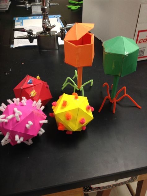 Virus models Biology Project Ideas High Schools, Mitosis Model Project Ideas, Bacteriophage Model, Human Body Science Projects, Science Lab Decorations, Science Model, Biology Ideas, Human Body Science, Science Models