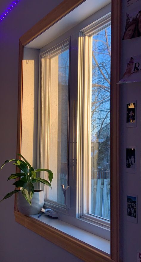 #morning #lighting #room #aesthetic Window Morning View Aesthetic, 7:30 Pm Aesthetic, Relax Wallpaper Aesthetic, 5 Pm Aesthetic, Early Morning Aesthetic Window, Morning Sunlight Aesthetic, Early Morning Wallpaper, Morning Light Aesthetic, Morning Aesthetic Wallpaper