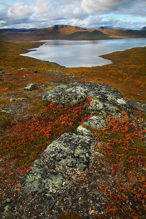 arctic tundra Finnish Lapland, Arctic Tundra, Lapland Finland, Location Inspiration, Garden Photography, Urban Life, Sunset Pictures, Colorful Landscape, Seascape Paintings