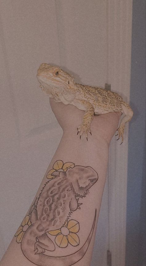 Bearded dragon tattoo Beared Dragon Tattoo, Bearded Dragon Memorial Tattoo, Small Bearded Dragon Tattoo, Reptile Tattoo Ideas, Boulder Tattoo, Reptile Tattoo, Bearded Dragon Setup, Bearded Dragon Tattoo, Small Animal Tattoos